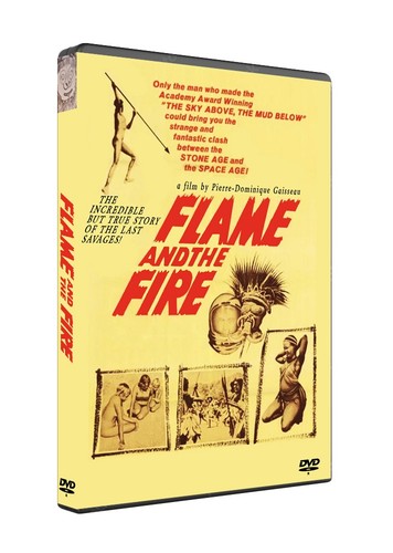 Flame and the fire - flame,